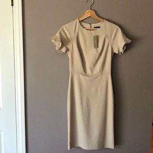 J Crew dress